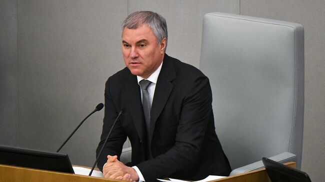 Председатель Государственной Думы России Вячеслав Володин 