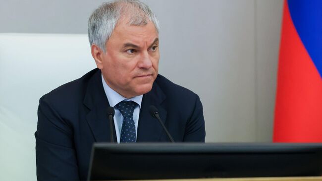 Вячеслав Володин